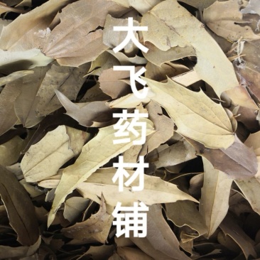 功劳叶十大功劳叶湖北1公斤起批无硫无添加正品