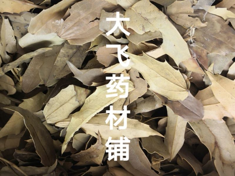功劳叶十大功劳叶湖北1公斤起批无硫无添加正品