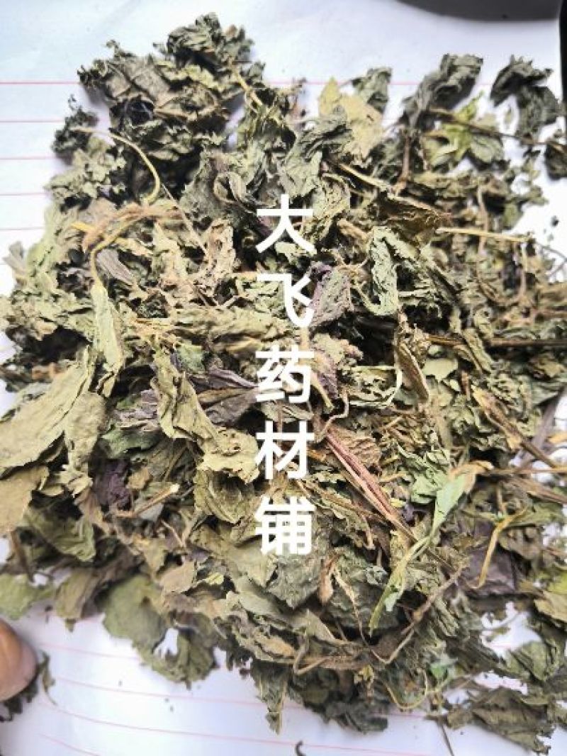 紫苏叶河南1公斤起批无硫***不包邮正品