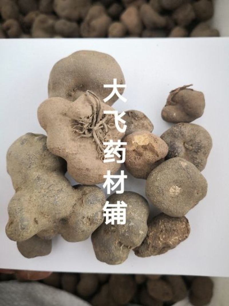 雷丸四川1公斤起批无硫无添加不包邮只做正品