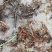 大悟山野生石菖蒲，鲜货干货，野生种苗