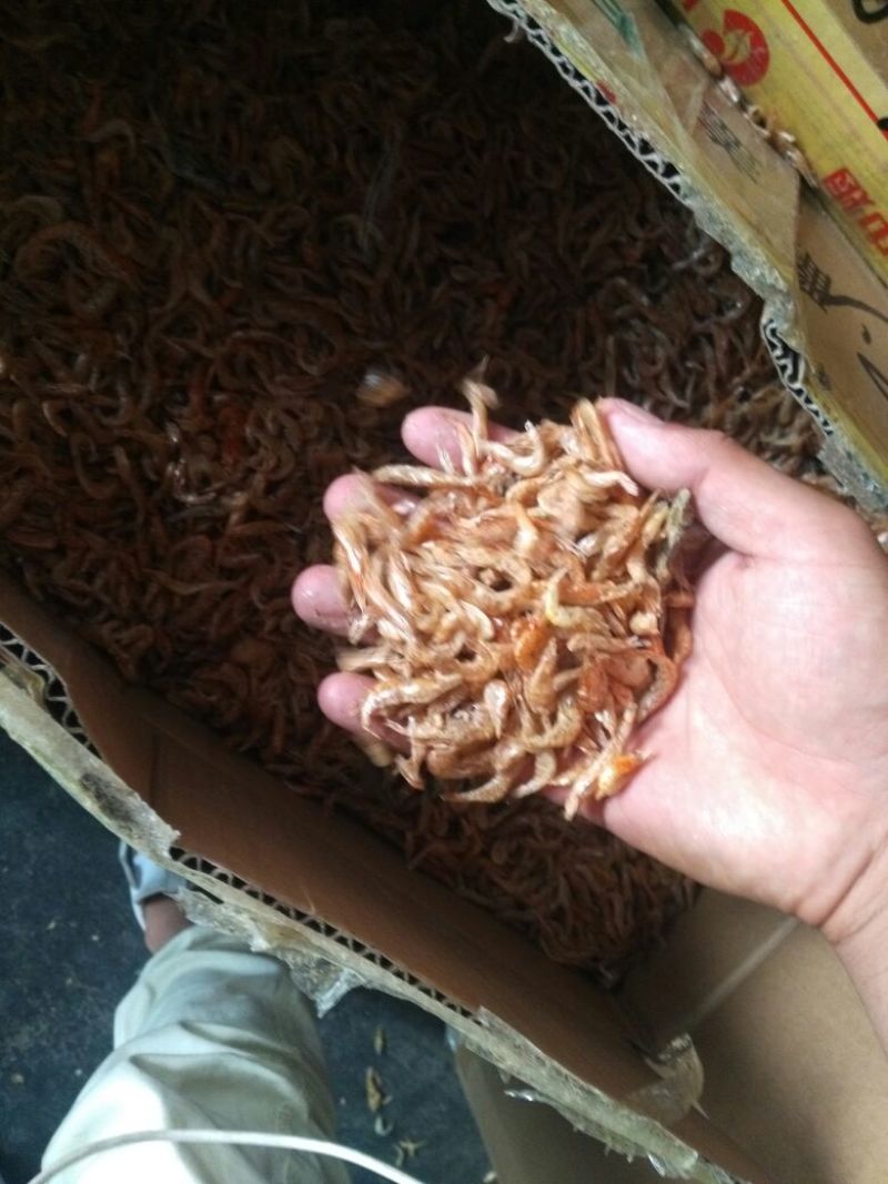 干鱼，干虾