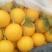 瑞红甜瓜3月大量上市