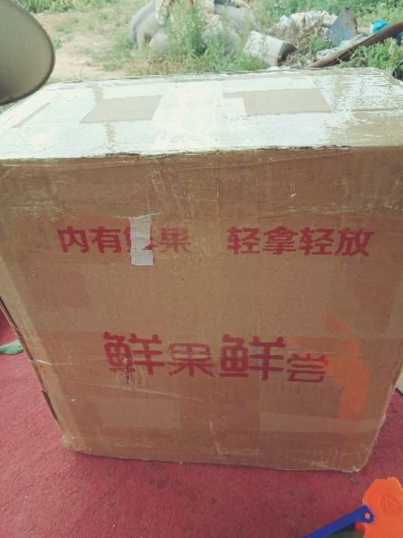 现摘现发