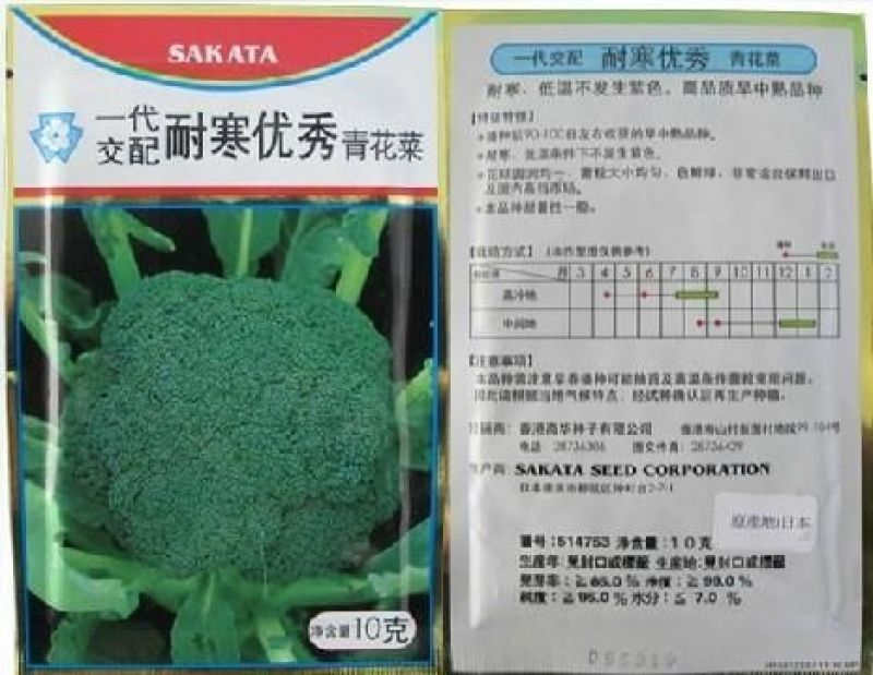 耐寒优秀西兰花种子