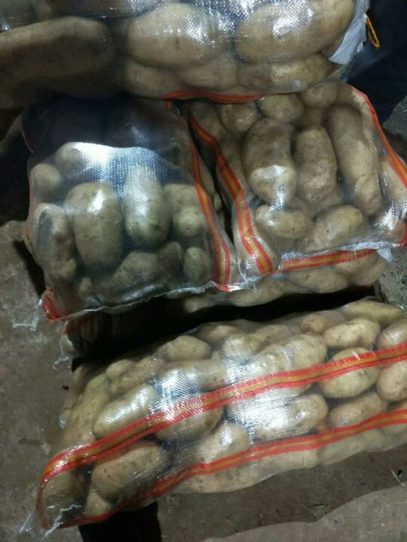 荷兰十五量大优惠