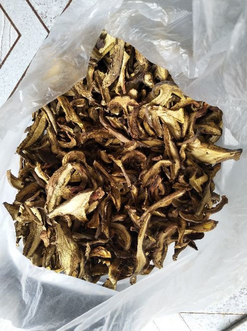 野生菌牛肝菌干片（黄牛肝、蘑菇、食用菌又名见手青）。