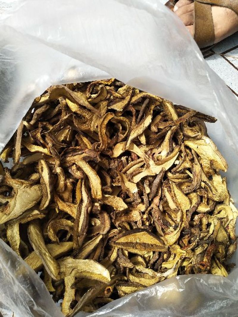 野生菌牛肝菌干片（黄牛肝、蘑菇、食用菌又名见手青）。