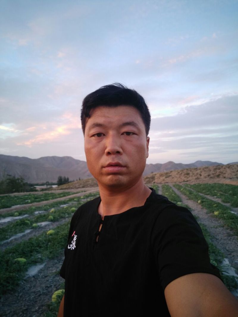 金城五号，金花一号，皮薄肉甜。让你放心，舒心，安心，，