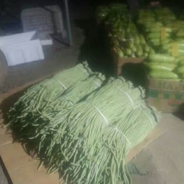 豆角大量上市中，需要联系吧！