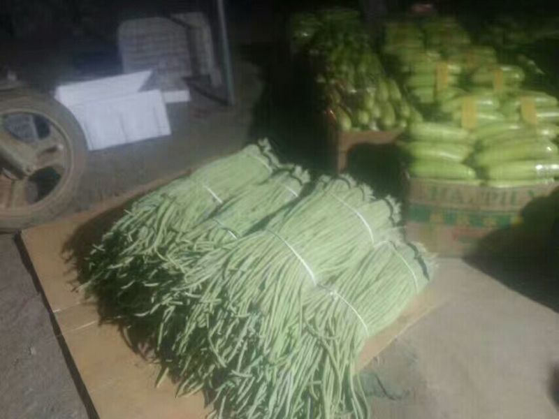 豆角大量上市中，需要联系吧！