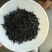 正山小种红茶苗