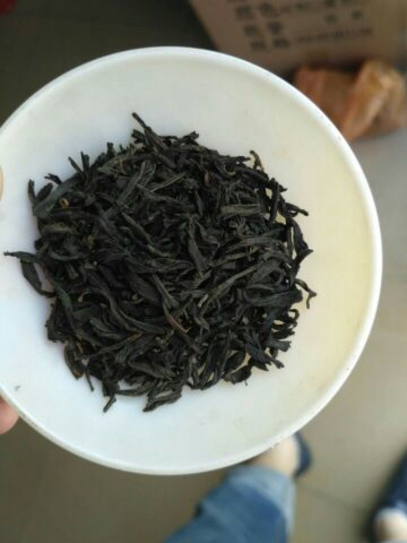 正山小种红茶苗