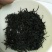 正山小种红茶苗
