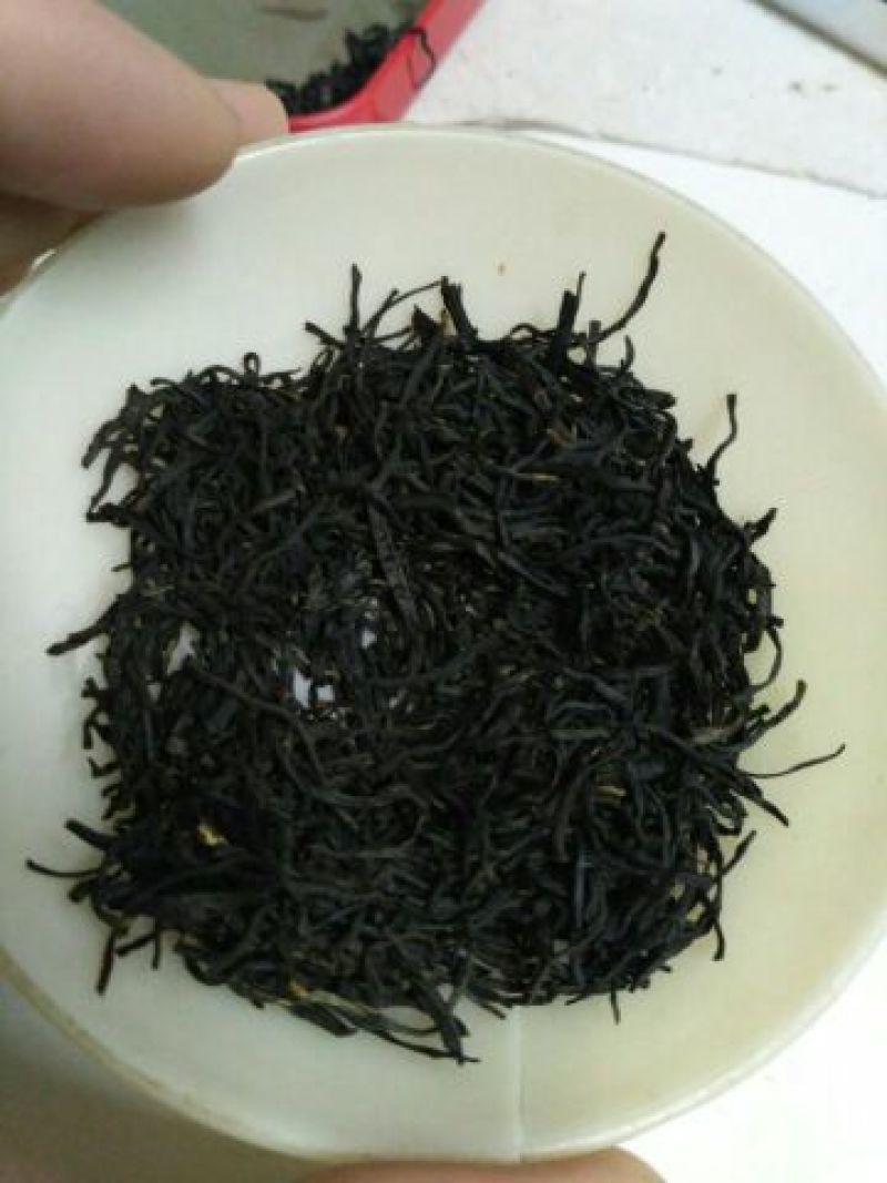 正山小种红茶苗