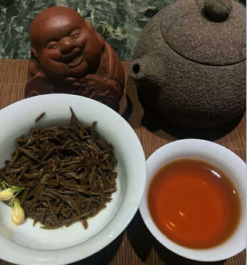 金骏眉红茶苗