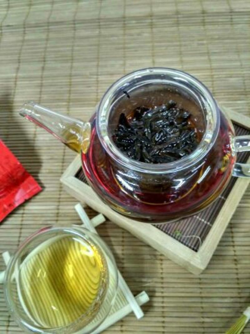 金骏眉红茶苗