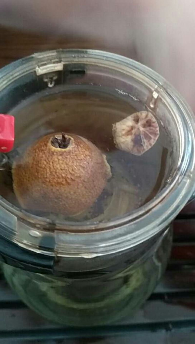 柠檬红茶苗