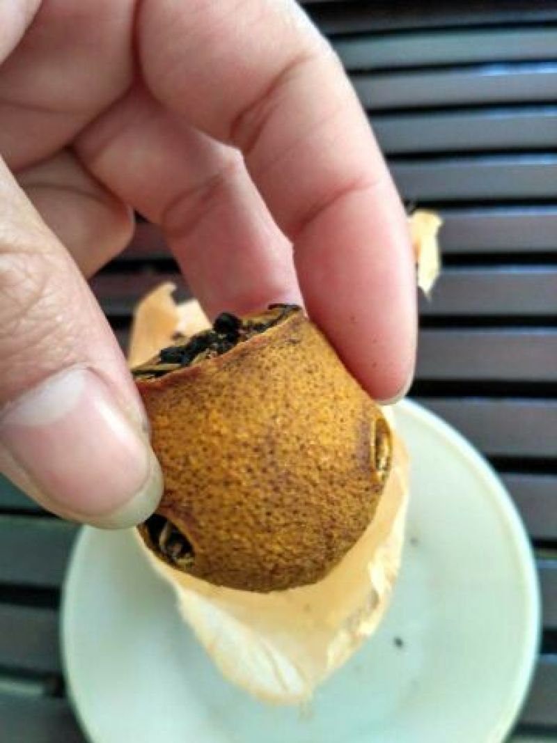 柠檬红茶苗