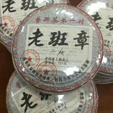 普洱茶老班章苗