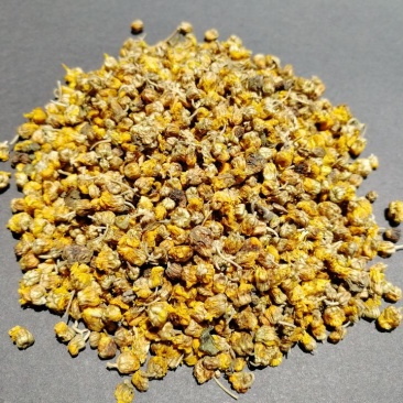 野菊花纯野生黄菊花茶小颗粒苦包含量原产地一手货源