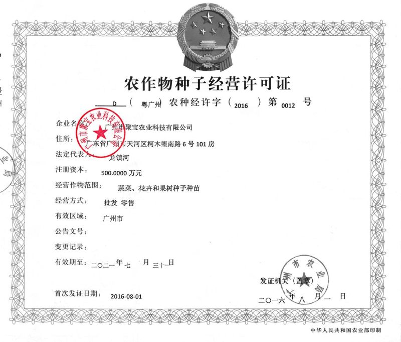耐寒勇士番茄种子5克装