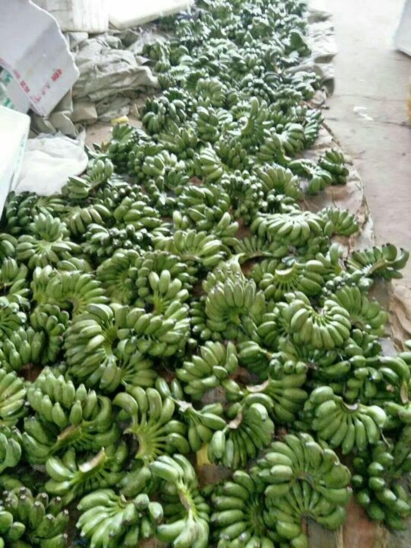 承接木瓜，小米蕉，电商，市场，厂房加工，包装、包装发货