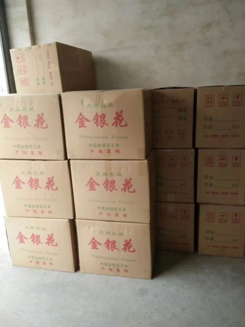 金银花种植户