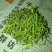 金银花种植户