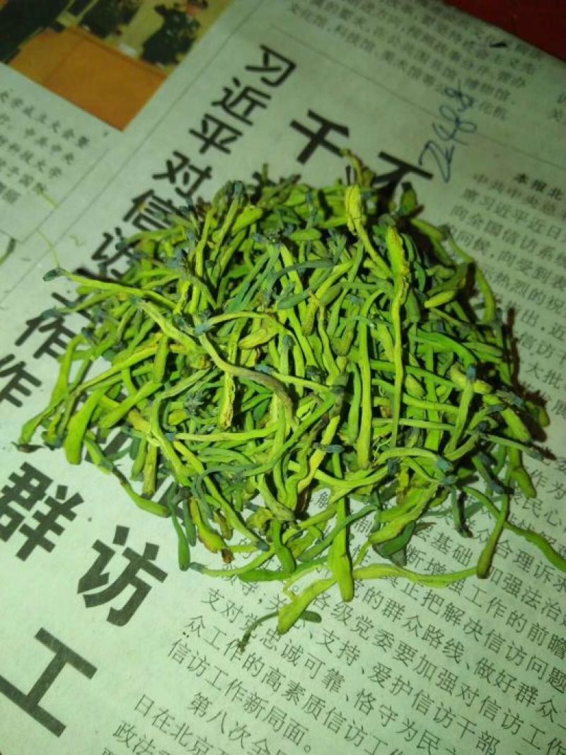 金银花种植户