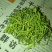 金银花种植户