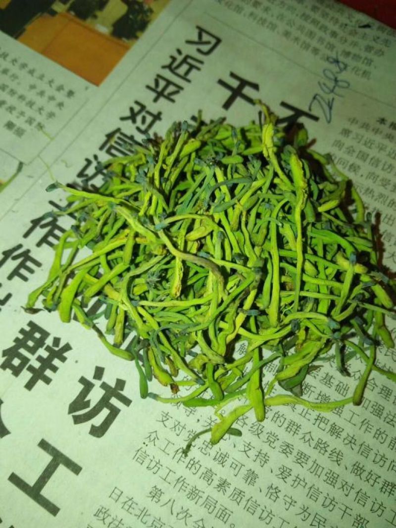 金银花种植户