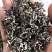沙棘茶沙棘沙棘叶茶沙棘叶小果沙棘雄株叶茶