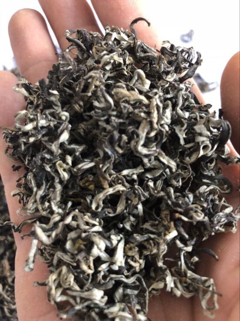 沙棘茶沙棘沙棘叶茶沙棘叶小果沙棘雄株叶茶