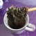 沙棘茶沙棘沙棘叶茶沙棘叶小果沙棘雄株叶茶