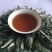 沙棘茶沙棘沙棘叶茶沙棘叶小果沙棘雄株叶茶