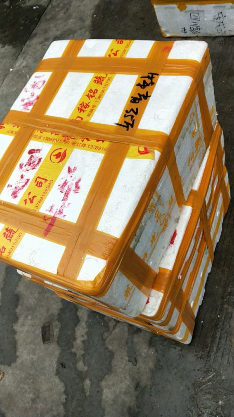 欢迎甩单过来中红28