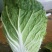 黄心白菜