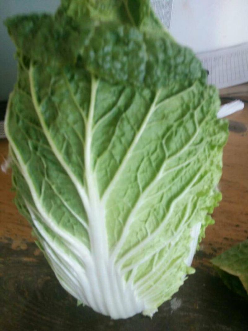 黄心白菜