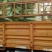 黄心白菜