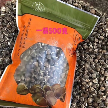 大粒印度进口辣木籽野生天然正品正宗老树辣木子食用大