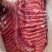驴肉请选购优质驴肉马肉板肠下水