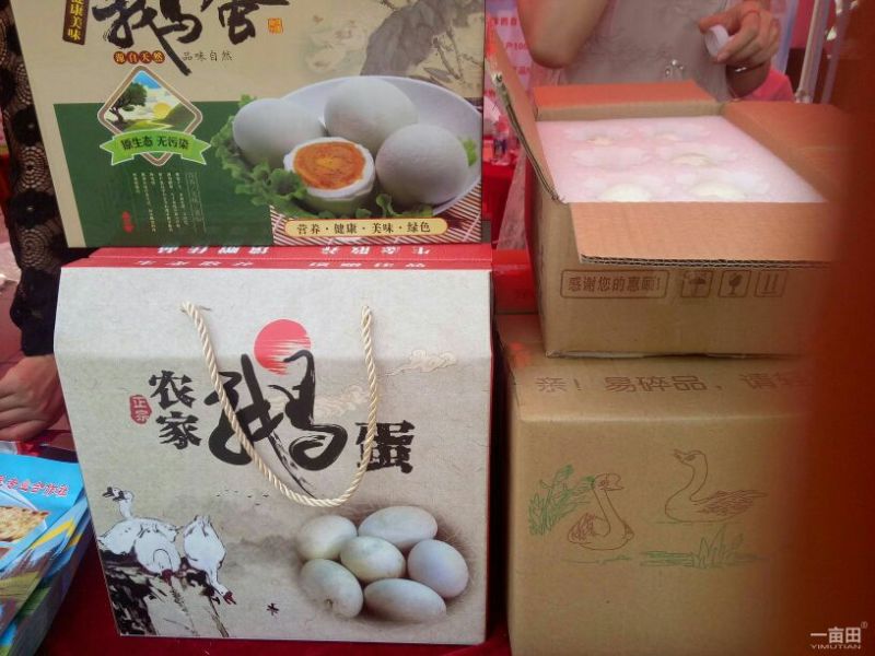 新蔡凤羽鹅业。鹅掌，鹅珍，鹅肠，白条鹅等