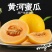民勤县甜瓜蜜瓜（金红宝，银帝，西州密，南瓜）支持一件代发