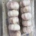 紫皮蒜5cm~5.5cm