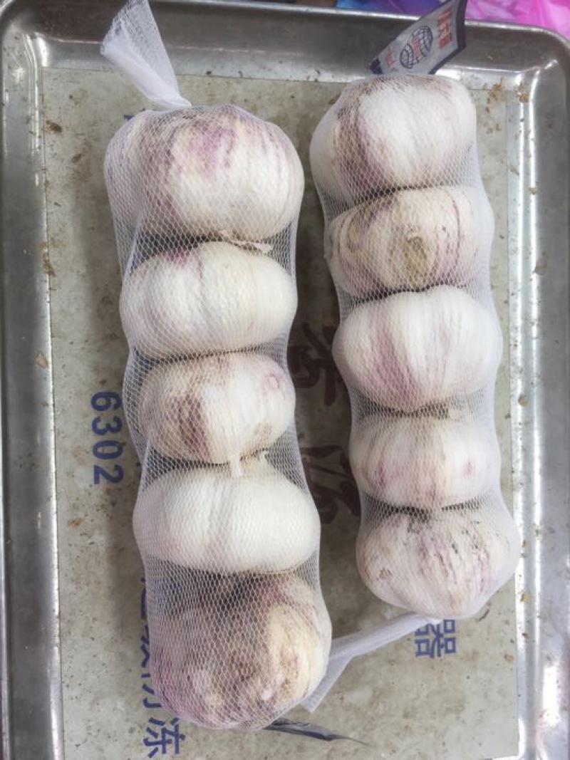 紫皮蒜5cm~5.5cm