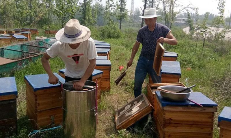 正品荔枝百花蜜正宗批发一斤10.8