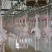 生鲜鸡原生态散养走地鸡