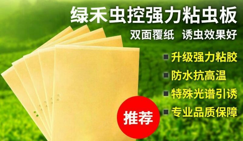 粘虫板，诱虫板茶园粘虫板果园杀虫板