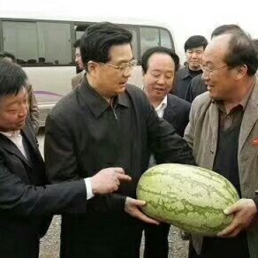 硒砂瓜